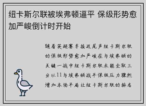 纽卡斯尔联被埃弗顿逼平 保级形势愈加严峻倒计时开始